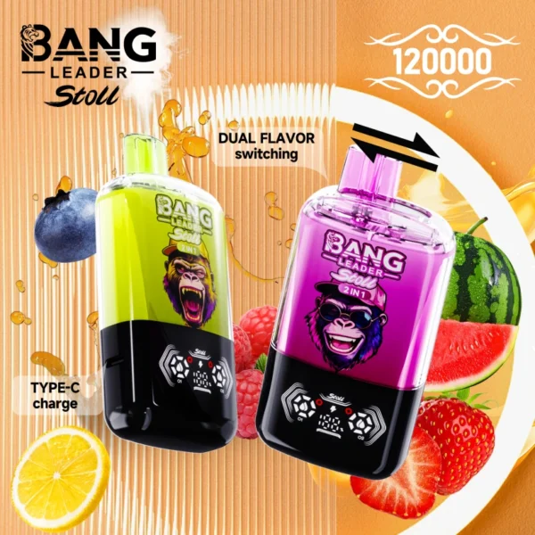 Bang Leader Stoll 120k Puffs Disposable Vape 2 in 1 Vaper Double Flavors Free Shipping
