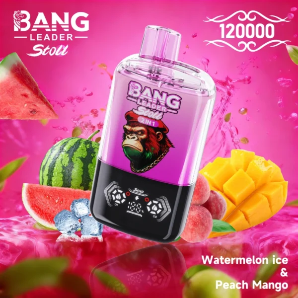 Bang Leader Stoll 120k Puffs Disposable Vape 2 in 1 Vaper Double Flavors Free Shipping