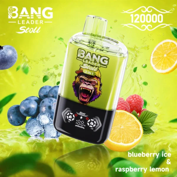 Bang Leader Stoll 120k Puffs Disposable Vape 2 in 1 Vaper Double Flavors Free Shipping