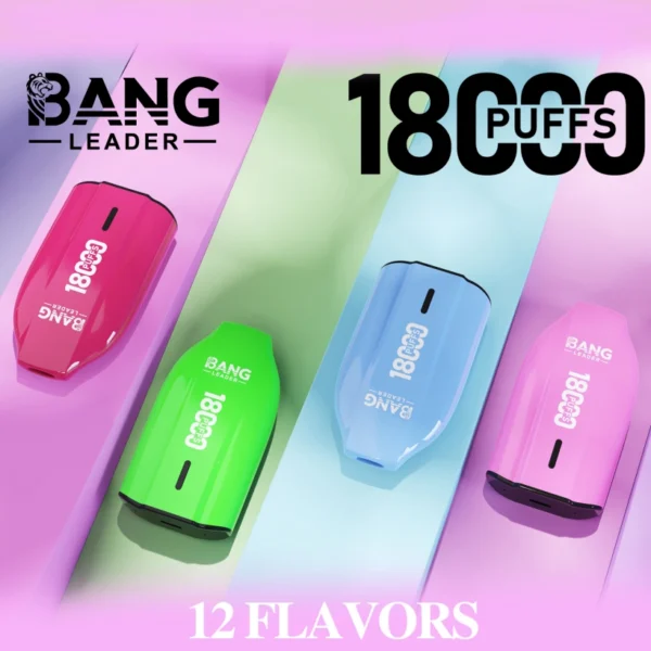 Bang Leader 18000 Puffs Disposable Vape 18k Cheap Price Wholesale Free Shipping