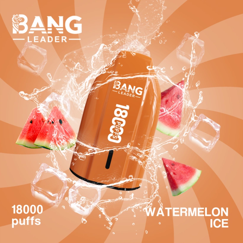 Bang Leader 18000 Puffs Disposable Vape 18k Cheap Price Wholesale Free Shipping 6 Bang Ledaer 18000 Puffs Disposable Vape 18k Cheap Price Wholesale Free Shipping