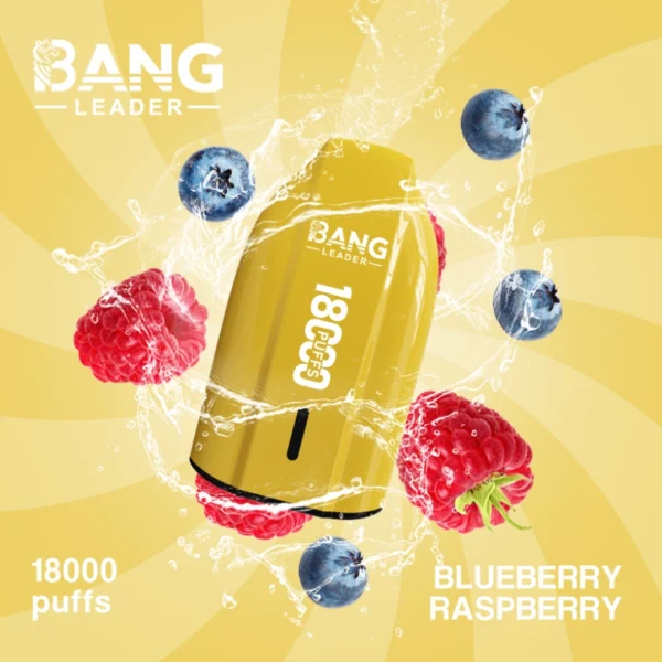 Bang Leader 18000 Puffs Disposable Vape 18k Cheap Price Wholesale Free Shipping 10 Bang Ledaer 18000 Puffs Disposable Vape 18k Cheap Price Wholesale Free Shipping