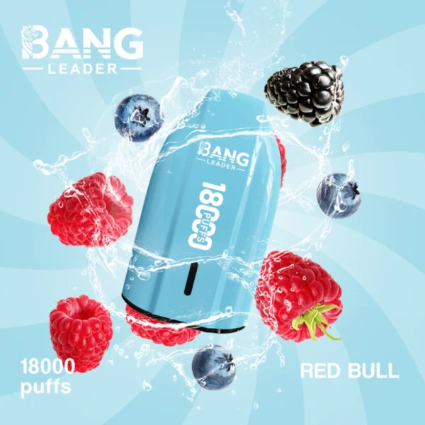 Bang Ledaer 18000 Puffs Disposable Vape 18k Cheap Price Wholesale Free Shipping