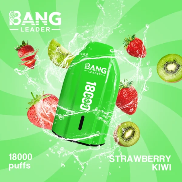 Bang Leader 18000 Puffs Disposable Vape 18k Cheap Price Wholesale Free Shipping 14 Bang Ledaer 18000 Puffs Disposable Vape 18k Cheap Price Wholesale Free Shipping