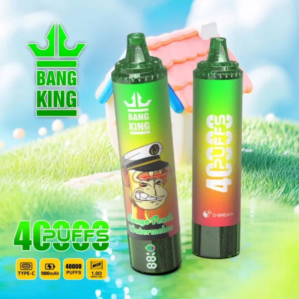 Bang King 40000 Puffs Cheap Disposable Vape Wholesale Free Shipping 14 Bang King 40000 Puffs Cheap Disposable Vape Wholesale Free Shipping