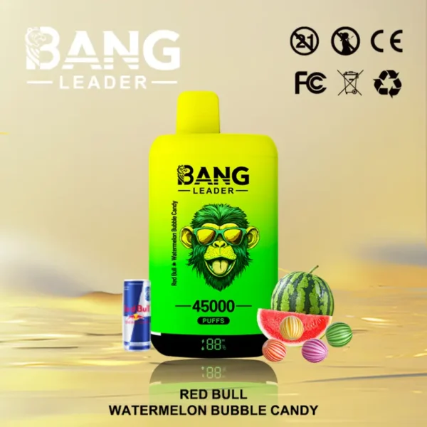 EU Puff Bang Leader 45000 Puffs 2 in 1 Double Flavors Disposable Vape Fast Delivery