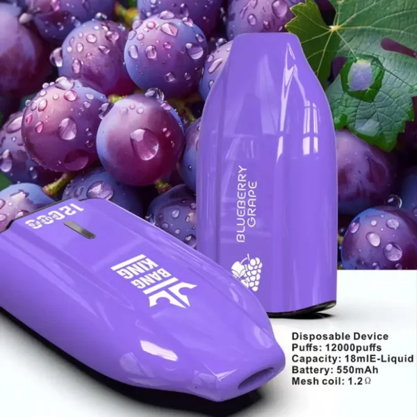 EU Warehouse Bang King 12k Puffs 12000 Cheap Disposable Vape Wholesale 3 to 7 Work Day Free Shipping