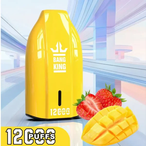 EU Warehouse Bang King 12k Puffs 12000 Cheap Disposable Vape Wholesale 3 to 7 Work Day Free Shipping