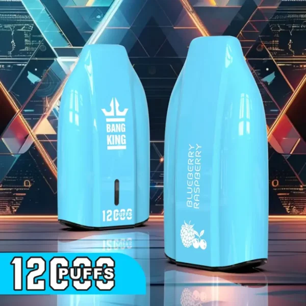 EU Warehouse Bang King 12k Puffs 12000 Cheap Disposable Vape Wholesale 3 to 7 Work Day Free Shipping