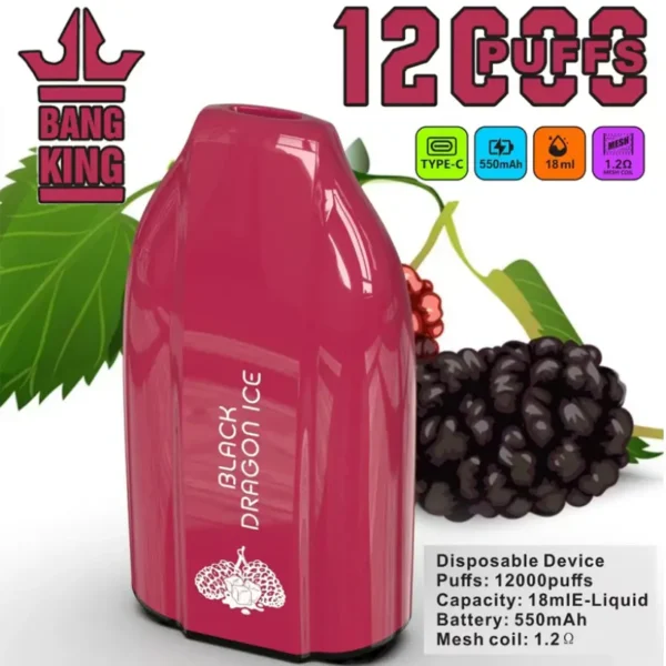 EU Warehouse Bang King 12k Puffs 12000 Cheap Disposable Vape Wholesale 3 to 7 Work Day Free Shipping