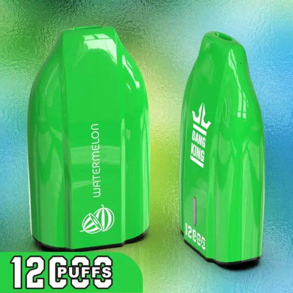 EU Warehouse Bang King 12k Puffs 12000 Cheap Disposable Vape Wholesale 3 to 7 Work Day Free Shipping