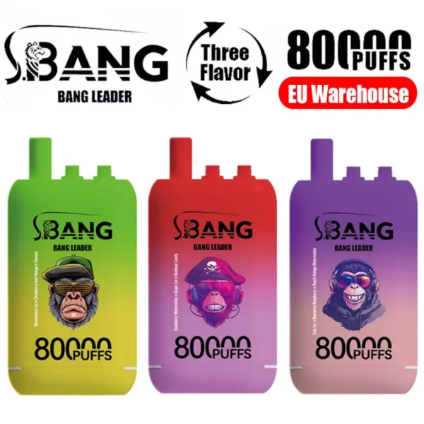 EU Warehouse Bang Leader 80k Puffs 80000 Three Flavors 3 in 1 Disposable Vape Shop