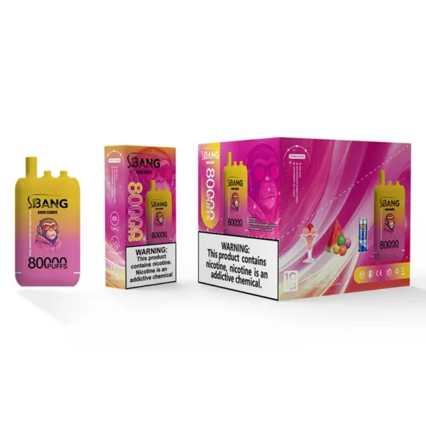 EU Warehouse Bang Leader 80k Puffs 80000 Three Flavors 3 in 1 Disposable Vape Shop