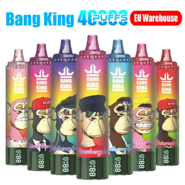 Bang King 40000 Puffs Cheap Disposable Vape Wholesale Free Shipping EU Warehouse