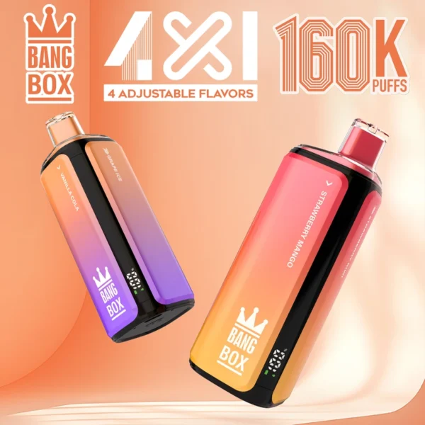 Bang Box 160k Puffs 4 in 1 Adjustable Flavors Disposable Vape Shop Free Shipping