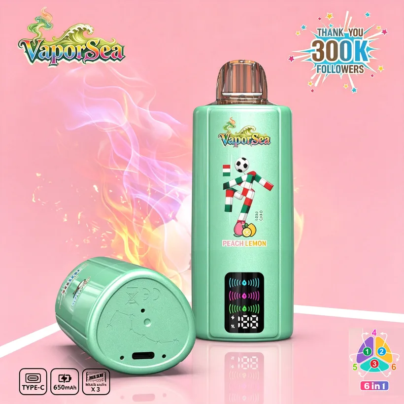 Vaporsea 300K Puffs 6 in 1 Rechargeable Disposable Vape Online Wholesale 8 Vaporsea 300K Puffs 6 in 1 Rechargeable Disposable Vape
